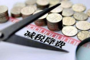 服務(wù)業(yè)企業(yè)所得稅減稅方案的選擇與實施策略